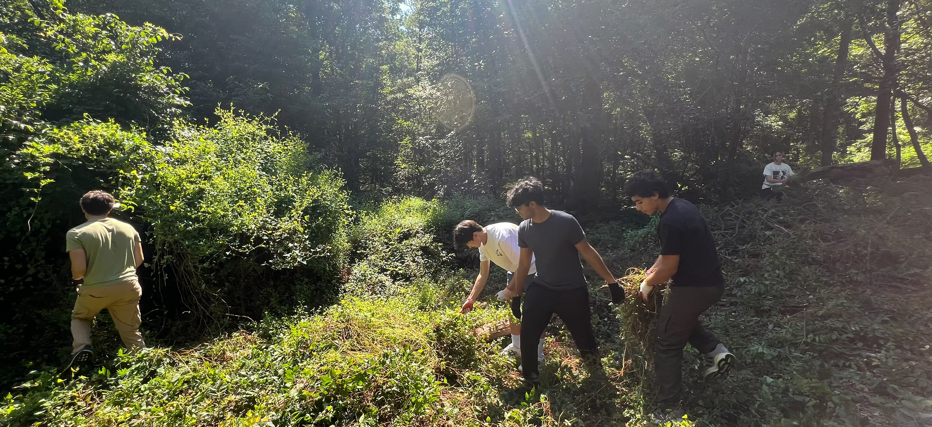 Hiking Heroes New Jersey volunteers outdoors